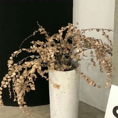 兽设花海场景绘制福瑞交流群